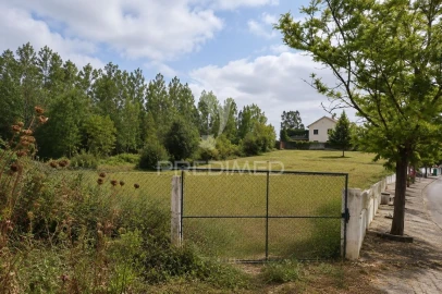 Terreno para Venda em Monte Real e Carvide