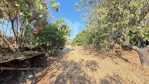 Moradia T4 para Venda em Ala e Vilarinho do Monte