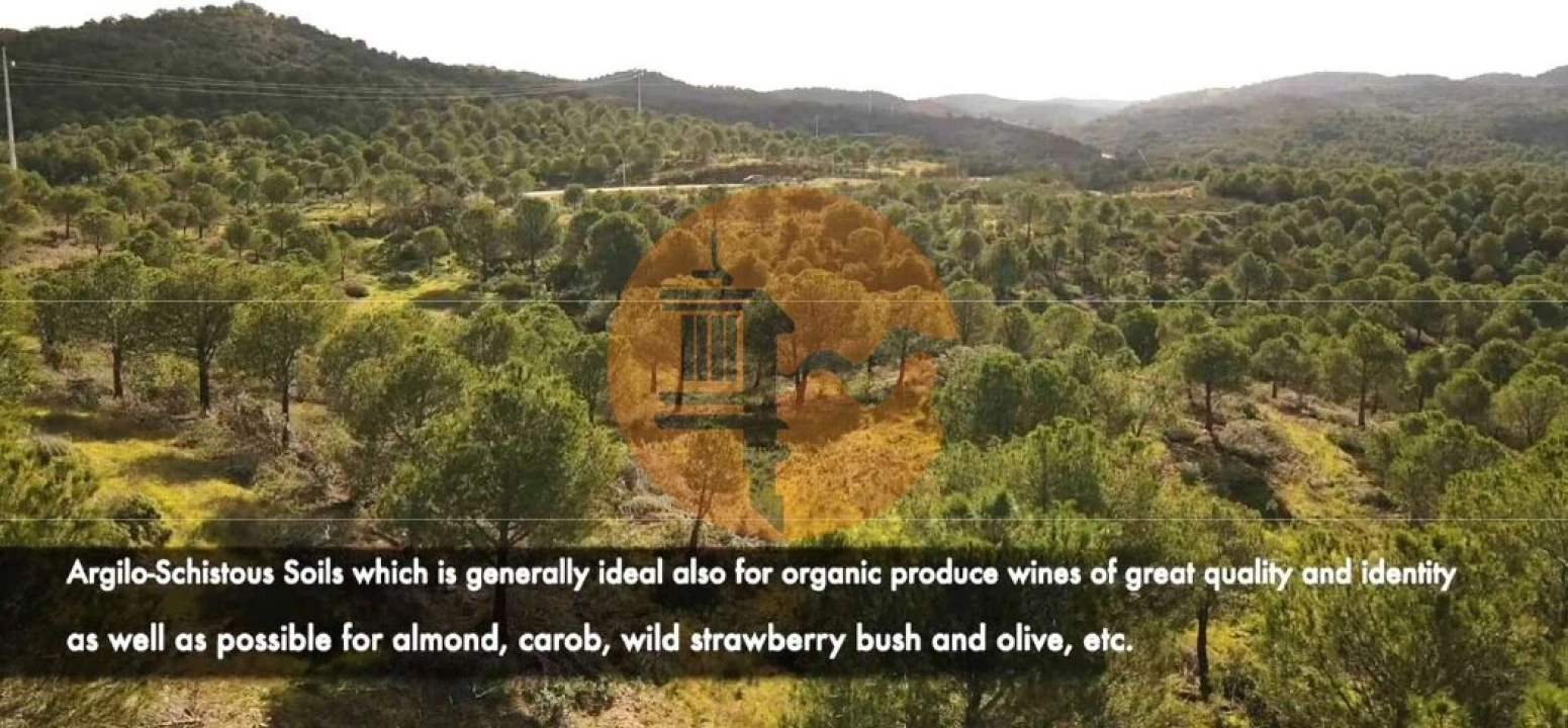Terreno para Venda em Vaqueiros Foto 9