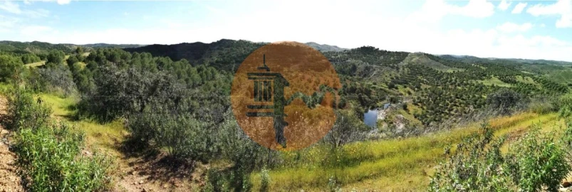 Terreno para Venda em Vaqueiros