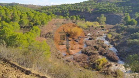 Terreno para Venda em Vaqueiros