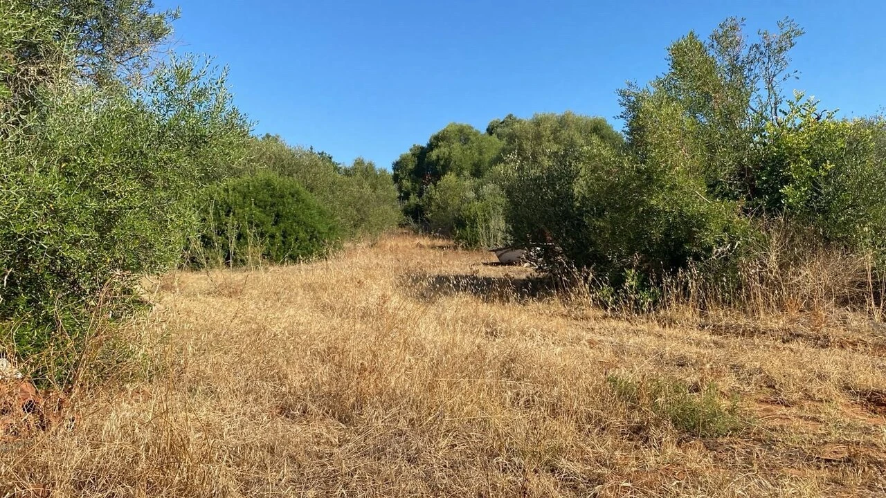 Terreno para Venda em Albufeira e Olhos de Água Foto 4