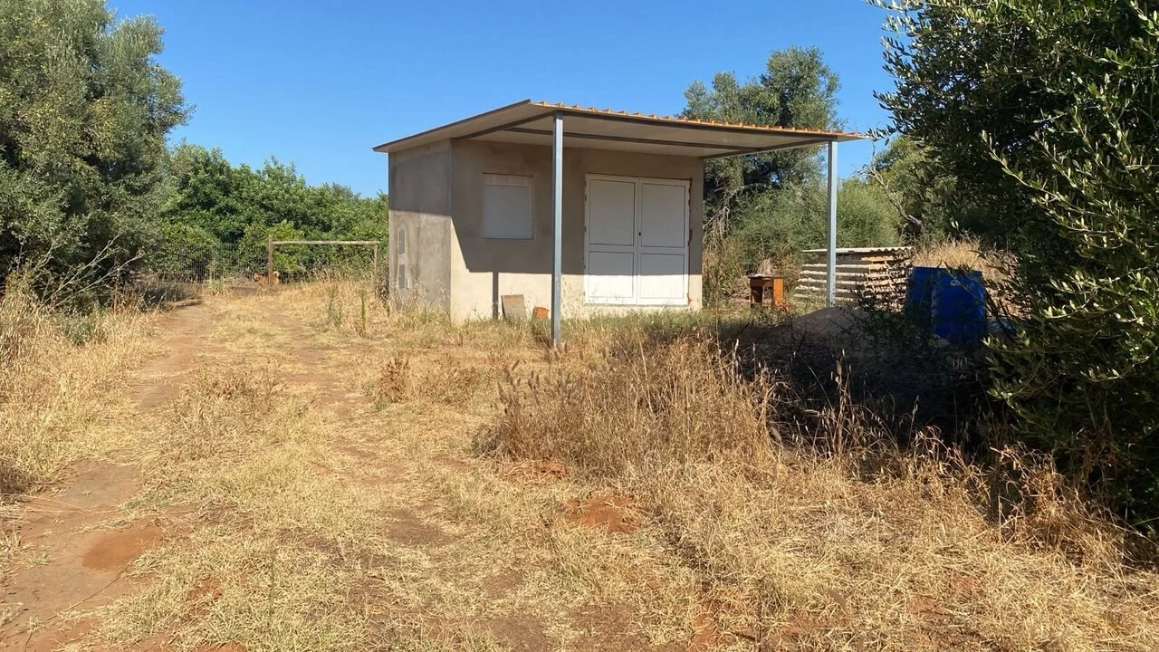 Terreno para Venda em Albufeira e Olhos de Água Foto 9