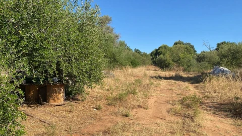 Terreno para Venda em Albufeira e Olhos de Água