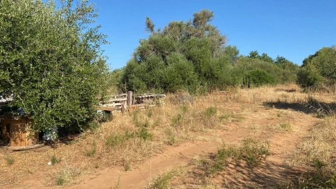 Terreno para Venda em Albufeira e Olhos de Água