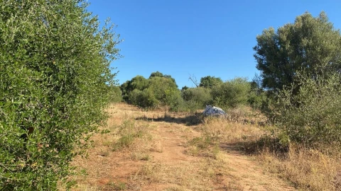 Terreno para Venda em Albufeira e Olhos de Água