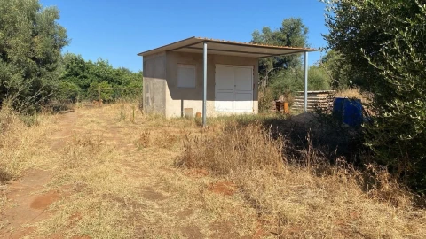 Terreno para Venda em Albufeira e Olhos de Água