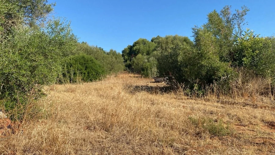 Terreno para Venda em Albufeira e Olhos de Água Foto 4