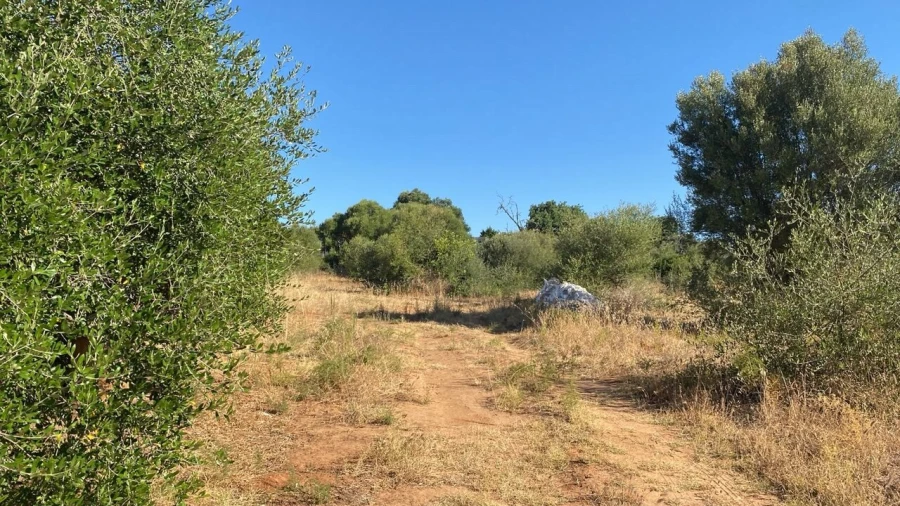 Terreno para Venda em Albufeira e Olhos de Água Foto 7