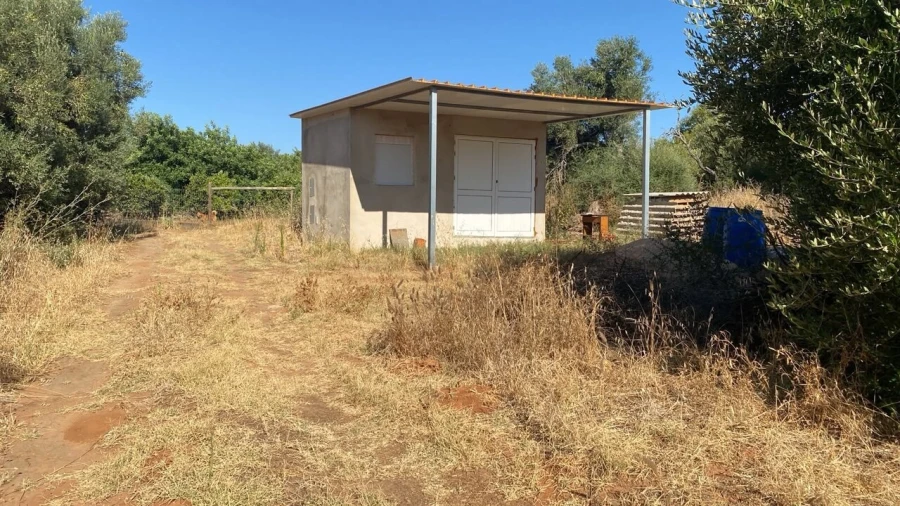 Terreno para Venda em Albufeira e Olhos de Água Foto 9
