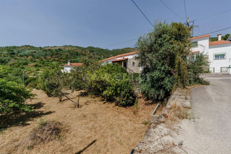 Terreno para Venda em Vale Formoso e Aldeia do Souto Foto 5