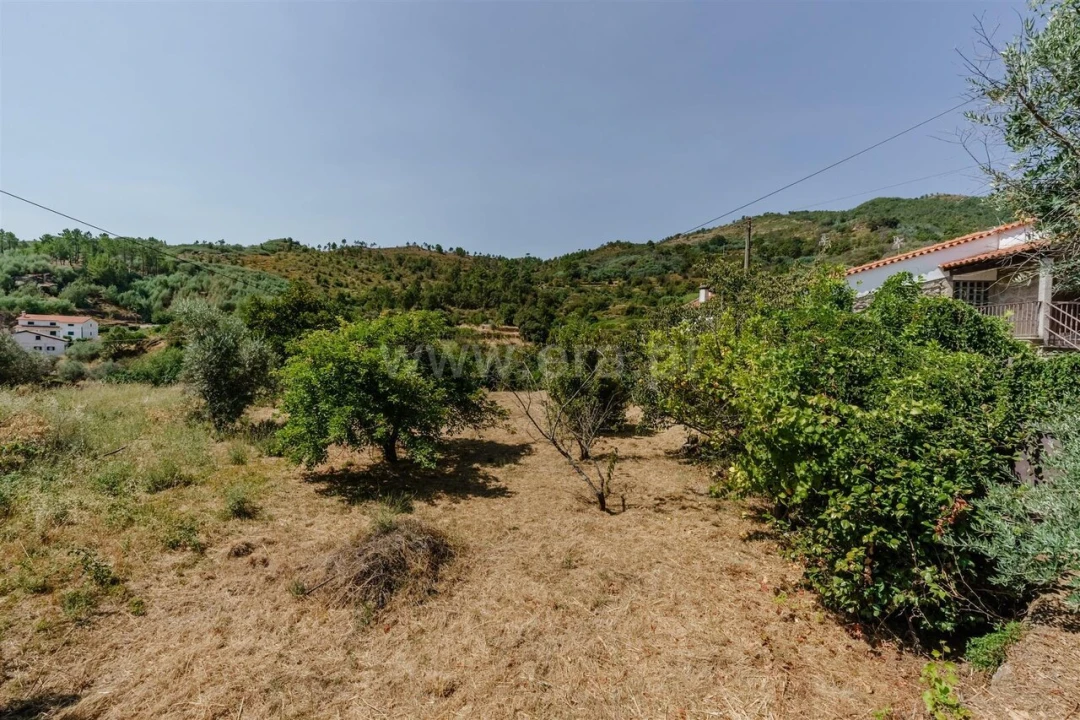Terreno para Venda em Vale Formoso e Aldeia do Souto Foto 4