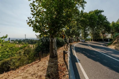 Terreno para Venda em Tortosendo