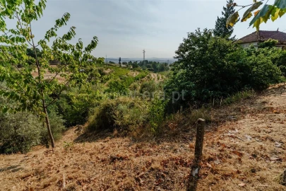 Terreno para Venda em Tortosendo