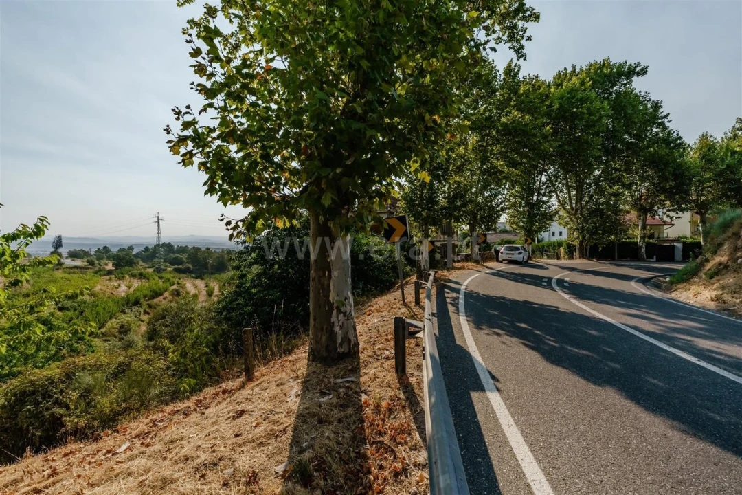 Terreno para Venda em Tortosendo Foto 9