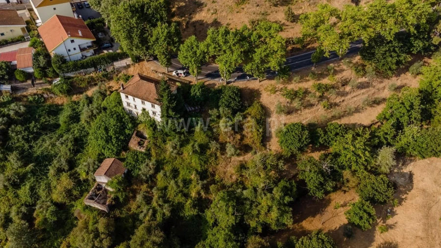 Terreno para Venda em Tortosendo