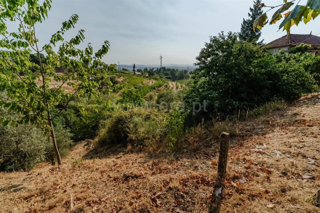 Terreno para Venda em Tortosendo Foto 8