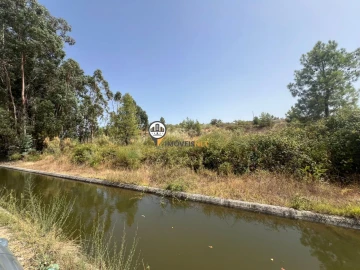 Quinta T0 para Venda em Ladoeiro