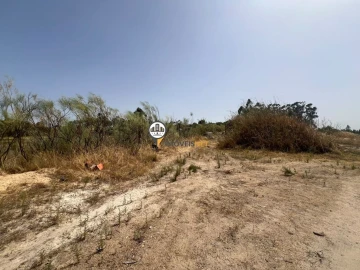 Quinta T0 para Venda em Ladoeiro