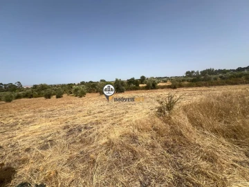 Quinta T0 para Venda em Ladoeiro