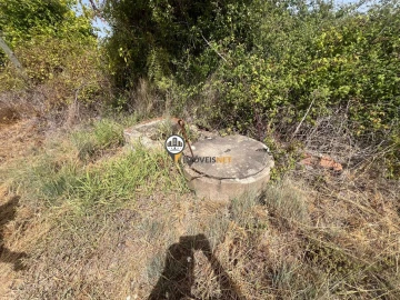 Quinta T0 para Venda em Ladoeiro