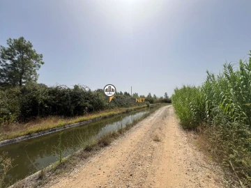 Quinta T0 para Venda em Ladoeiro