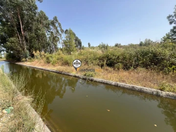 Quinta T0 para Venda em Ladoeiro