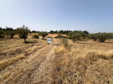 Quinta T0 para Venda em Ladoeiro