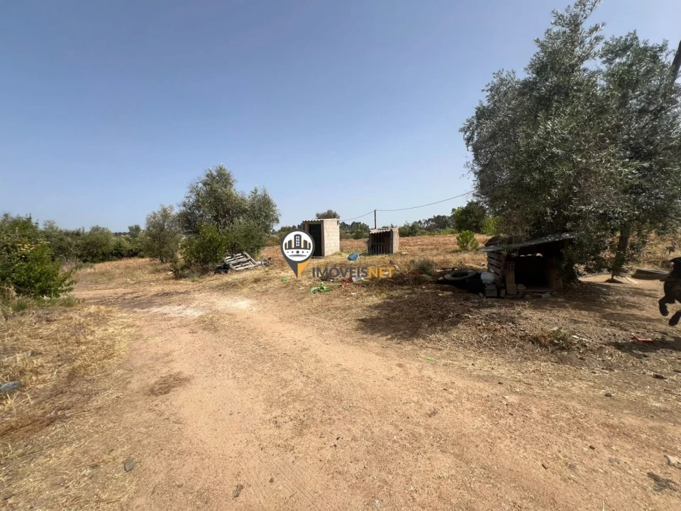 Quinta T0 para Venda em Ladoeiro Foto 18