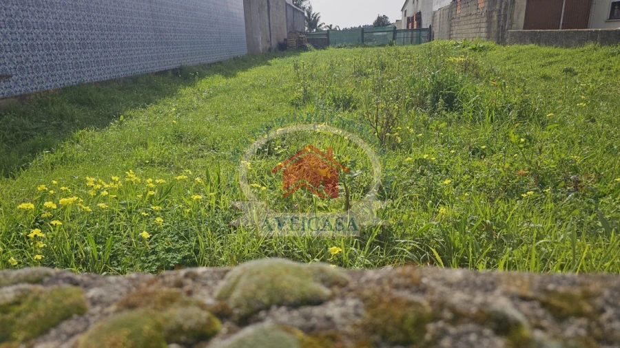 Terreno para Venda em Aradas