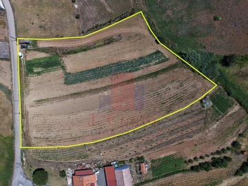 Terreno para Venda em Barrio
