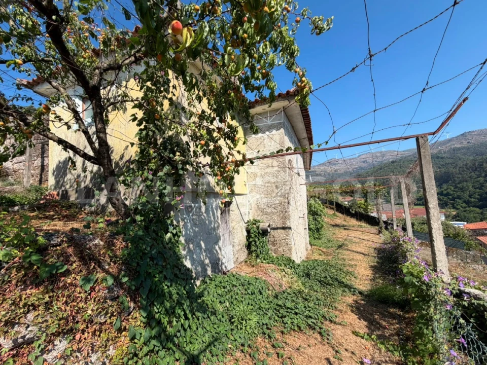 Moradia T3 para Venda em Sobradelo da Goma Foto 5