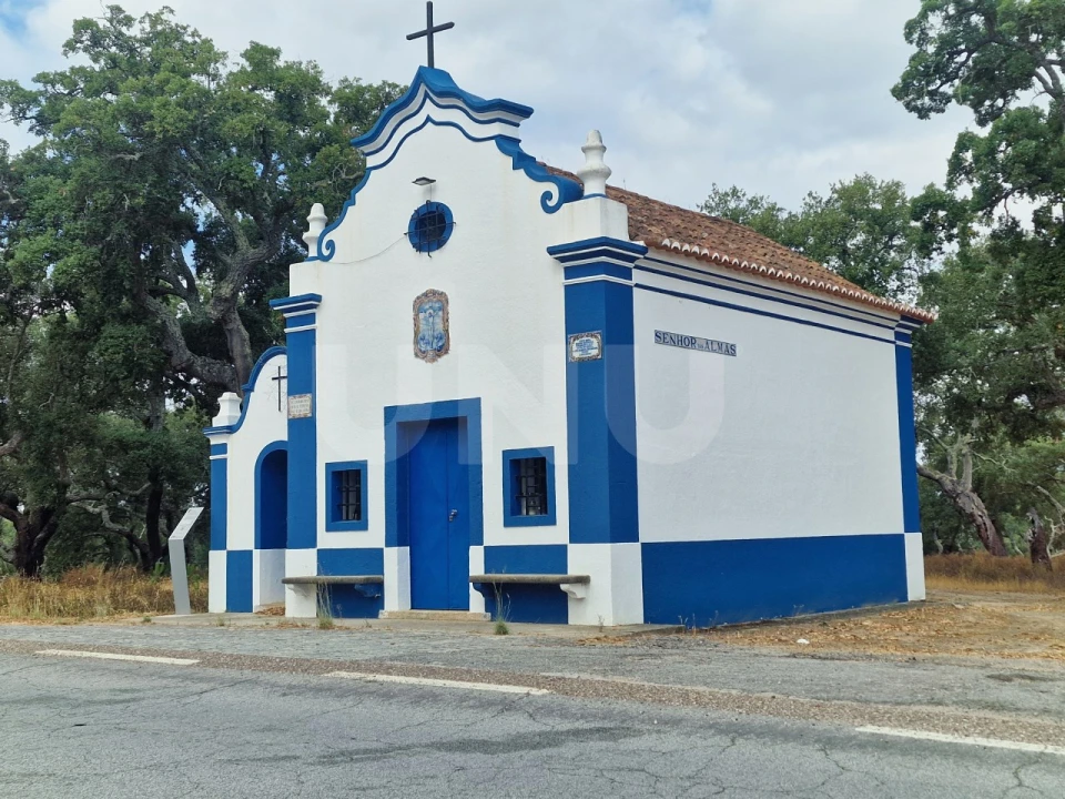 Terreno Agricola ou Rústico para Venda em Galveias Foto 25