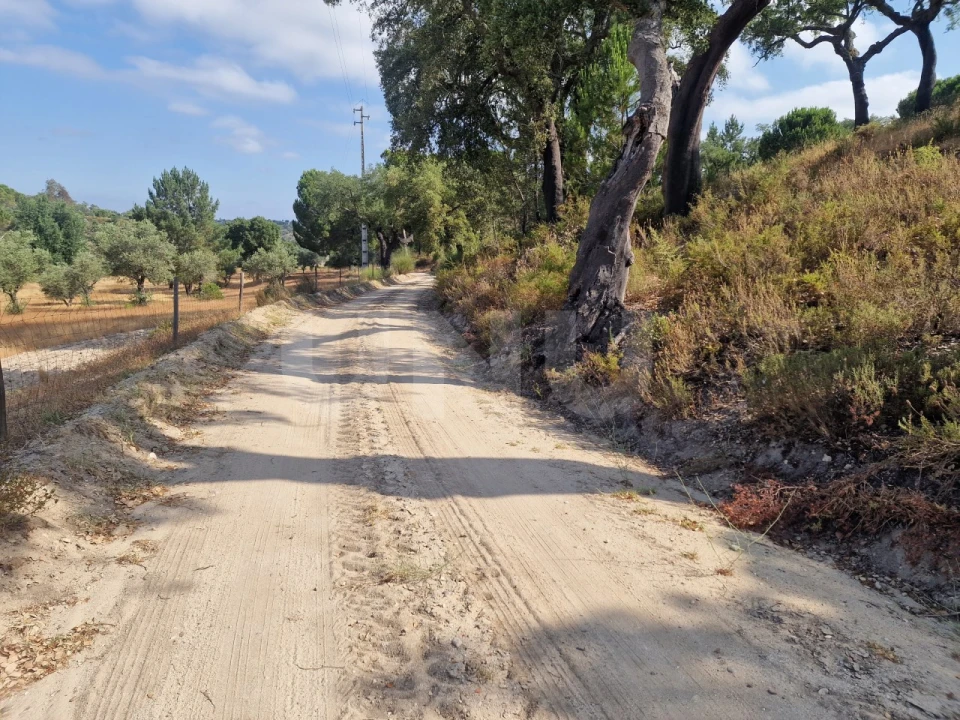 Terreno Agricola ou Rústico para Venda em Galveias Foto 3