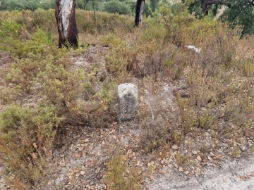 Terreno Agricola ou Rústico para Venda em Galveias
