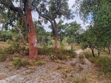 Terreno Agricola ou Rústico para Venda em Galveias
