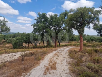 Terreno Agricola ou Rústico para Venda em Galveias