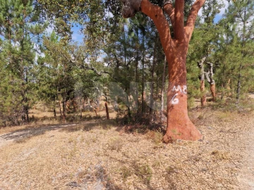 Terreno Agricola ou Rústico para Venda em Galveias
