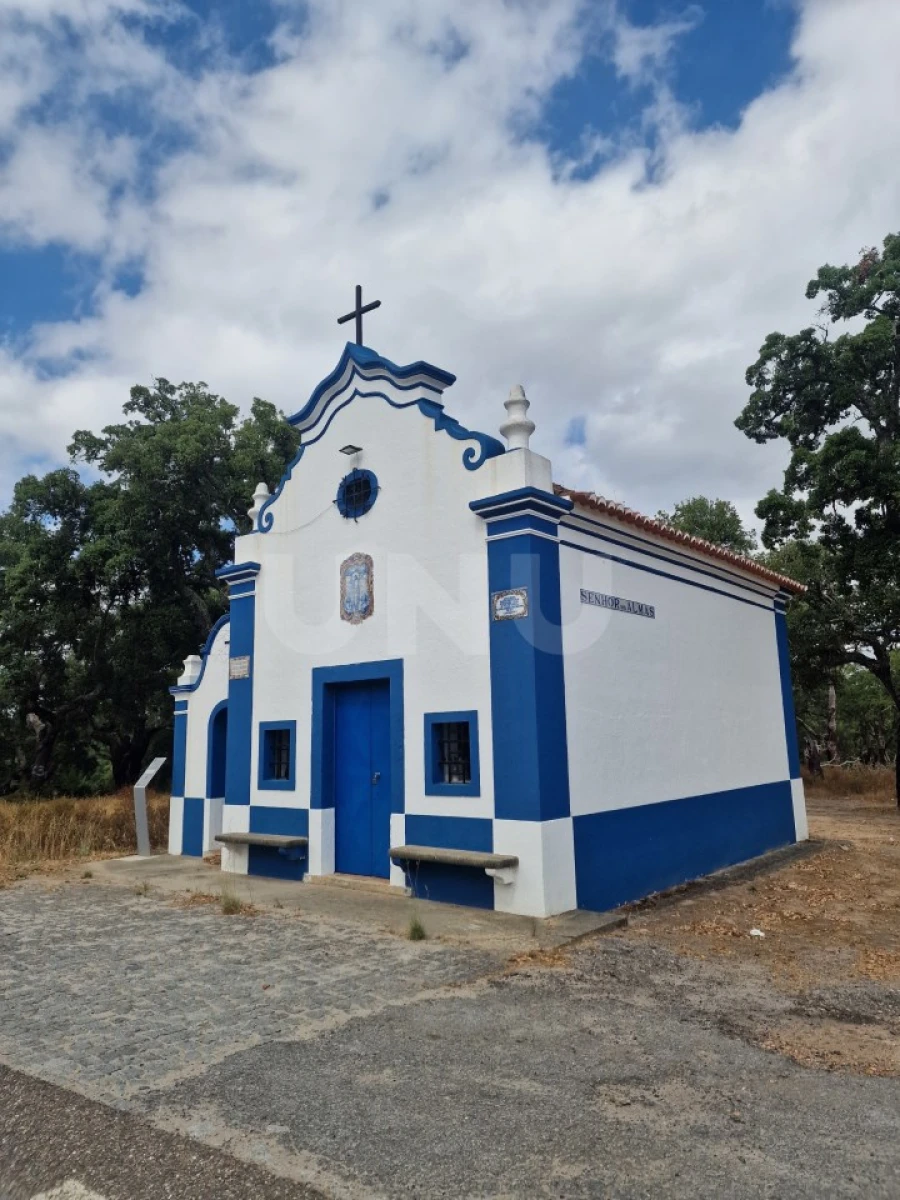 Terreno Agricola ou Rústico para Venda em Galveias Foto 24