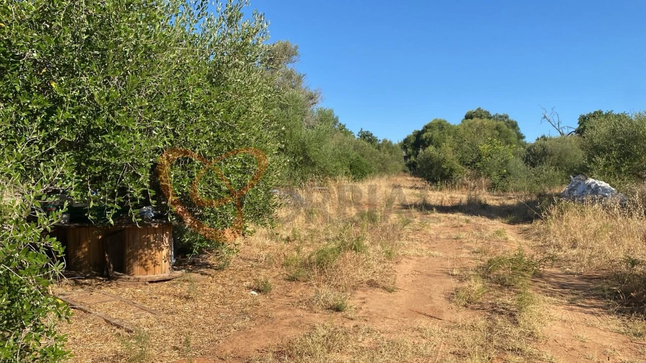 Terreno para Venda em Albufeira e Olhos de Água Foto 1
