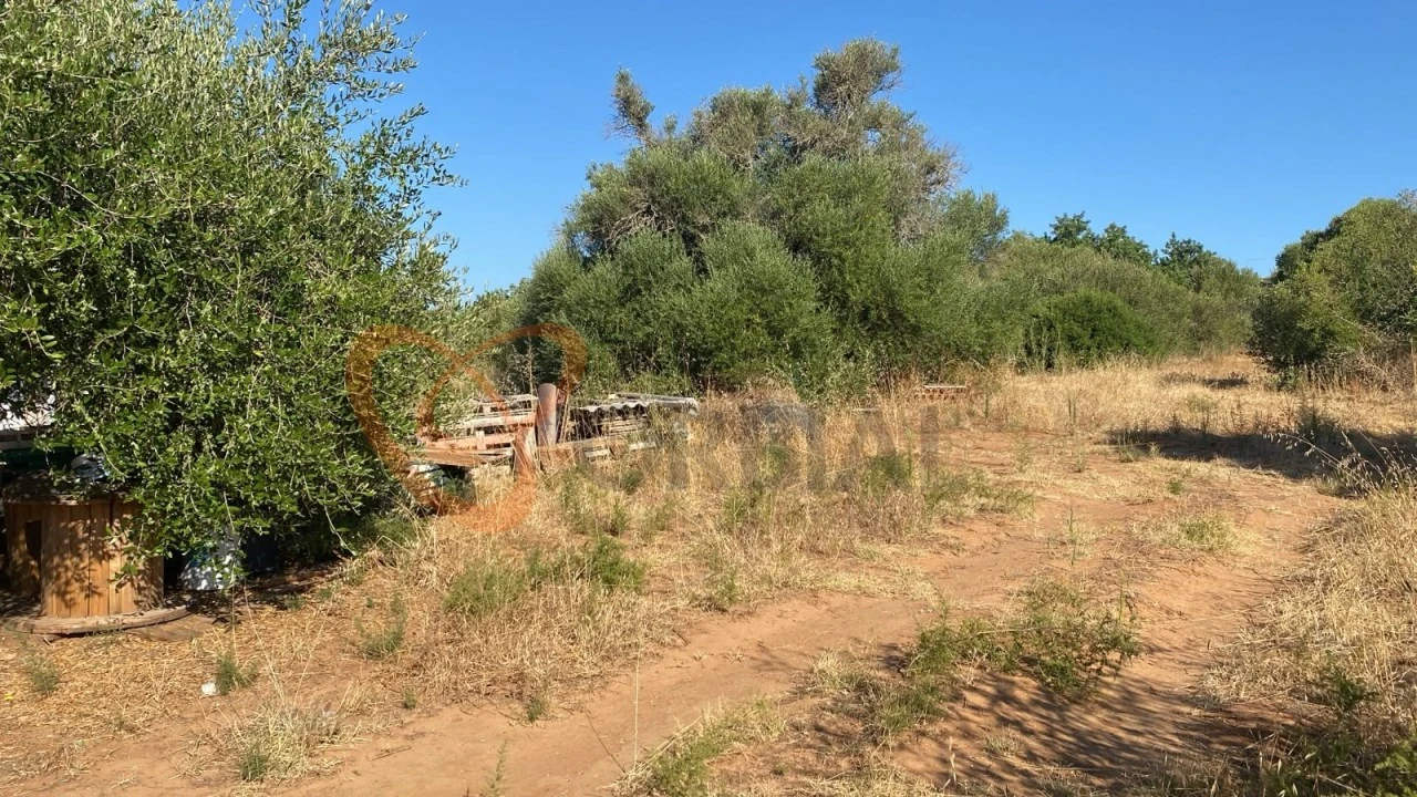 Terreno para Venda em Albufeira e Olhos de Água Foto 3