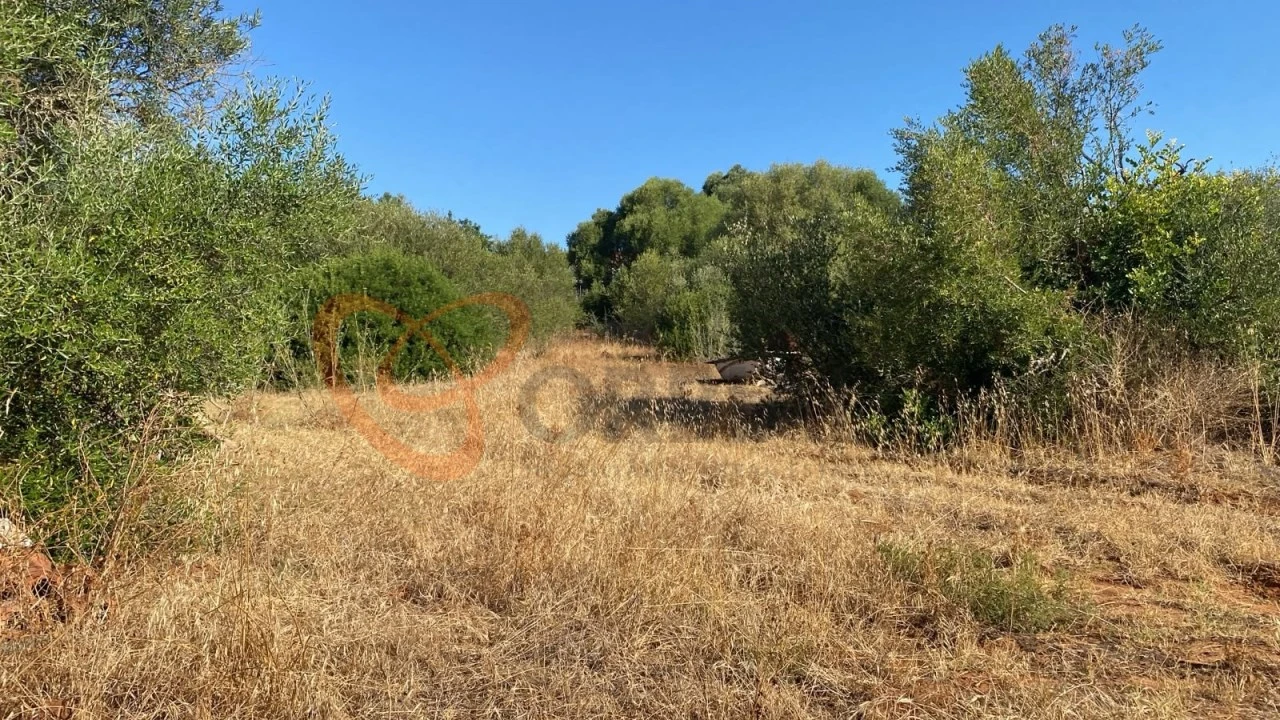 Terreno para Venda em Albufeira e Olhos de Água Foto 4