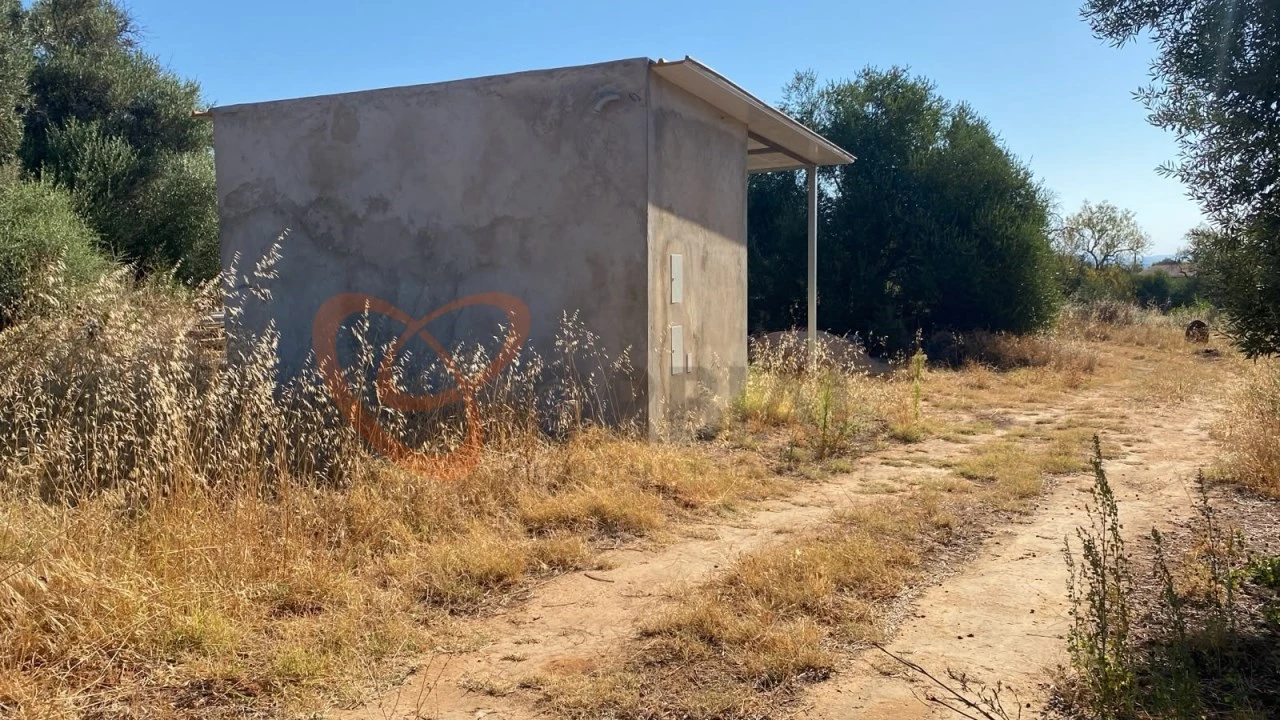 Terreno para Venda em Albufeira e Olhos de Água Foto 5