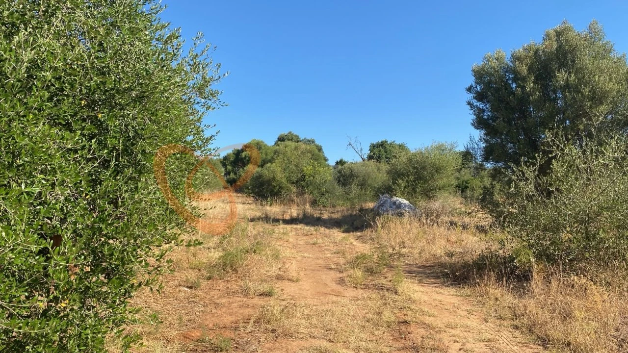 Terreno para Venda em Albufeira e Olhos de Água Foto 7