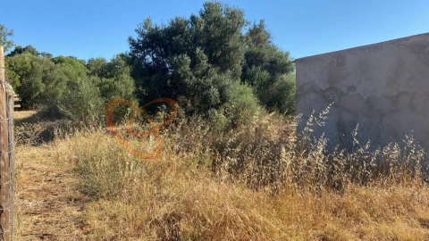 Terreno para Venda em Albufeira e Olhos de Água