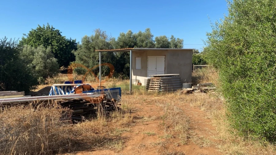 Terreno para Venda em Albufeira e Olhos de Água Foto 2
