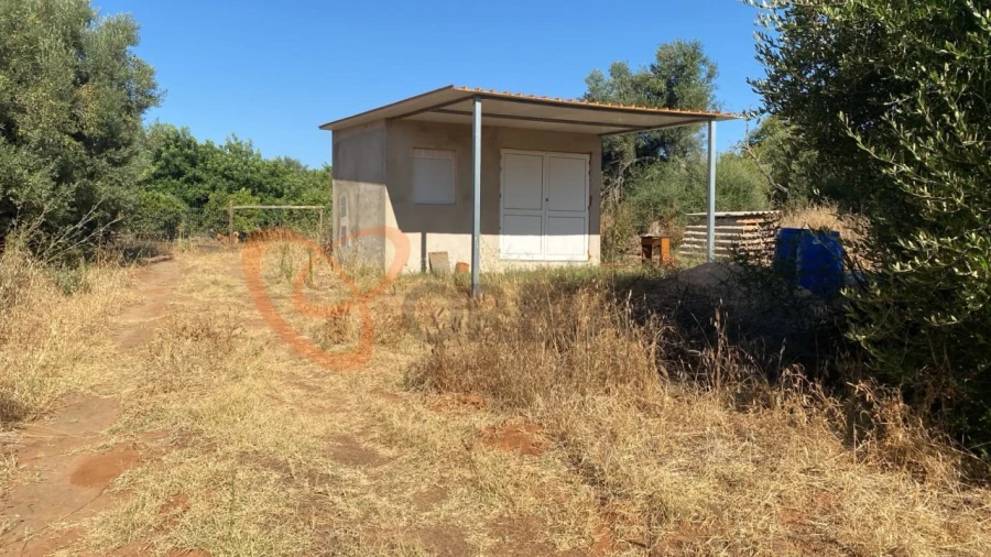 Terreno para Venda em Albufeira e Olhos de Água Foto 9