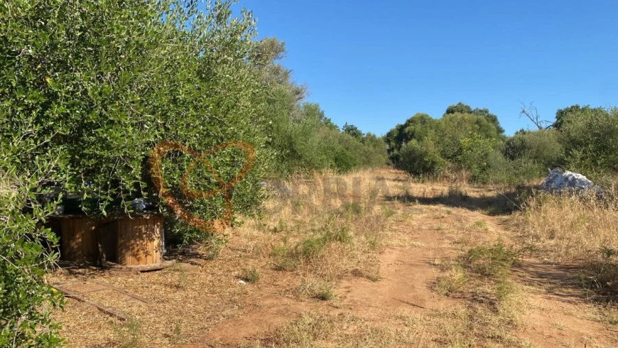 Terreno para Venda em Albufeira e Olhos de Água