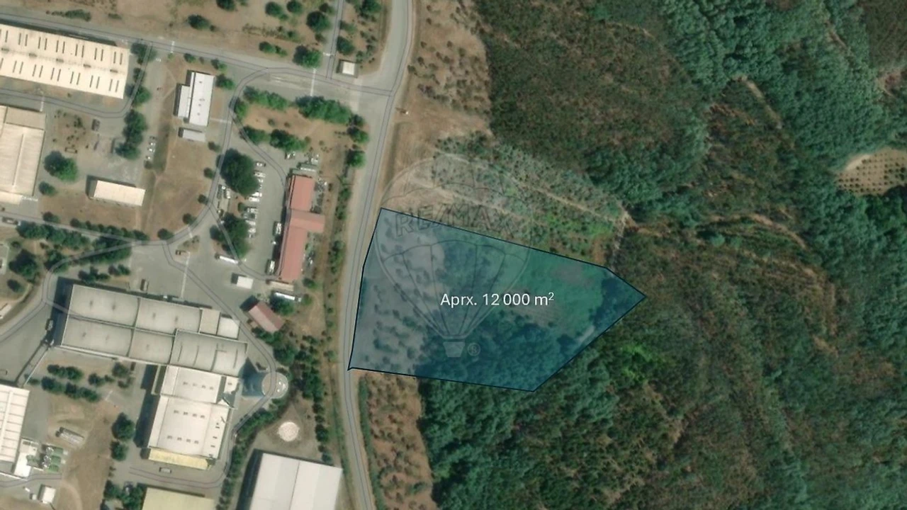 Terreno para Venda em Barreiro de Besteiros e Tourigo Foto 9