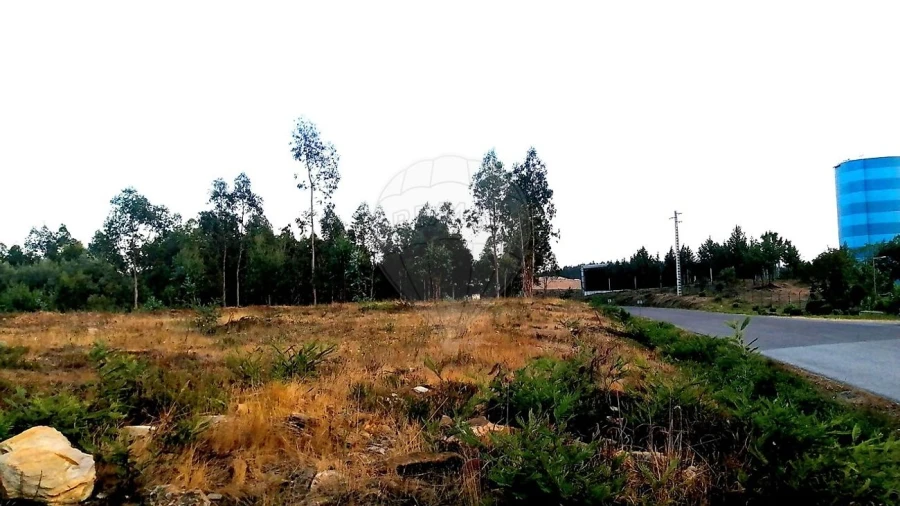 Terreno para Venda em Barreiro de Besteiros e Tourigo Foto 3